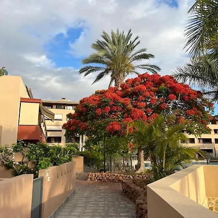 Sun And Sea Vacation In The Heart Of Playa Paraiso * Costa Adeje