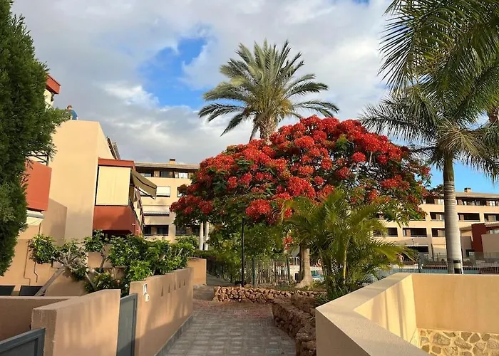 Sun And Sea Vacation In The Heart Of Playa Paraiso * Costa Adeje (Tenerife)